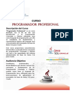 Programador Profesional