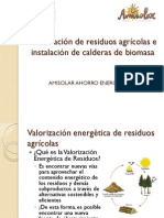 05 Guillermo Baena Calderas de Biomasa