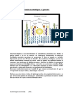 Balsas de lípidos de membranas biológicas