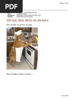 Porque Deus Criou Os Animais