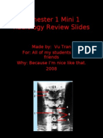 Semester 1 Mini 1 Radiology Review Slides