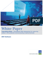Calculating Risk_ DNV White Paper