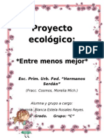 Proyecto Ecológico