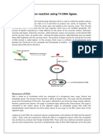 Ligation Concept