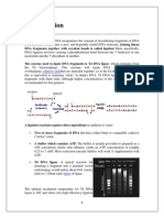 Ligation Concept