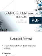 Gangguan Medula Spinalis
