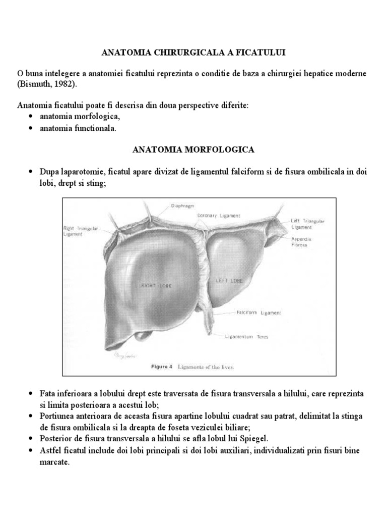 Segmentatia Hepatica | PDF