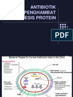 Antibiotik Penghambat Sintesis Protein