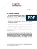 Formacao, Suspensao e Julgamento Do Processo