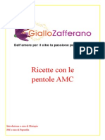 PDF Amc