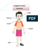 Anggota Badan Manusia