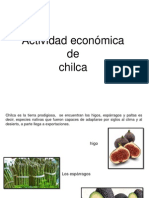 ACTIVIDAD ECONOMICA CHILCA