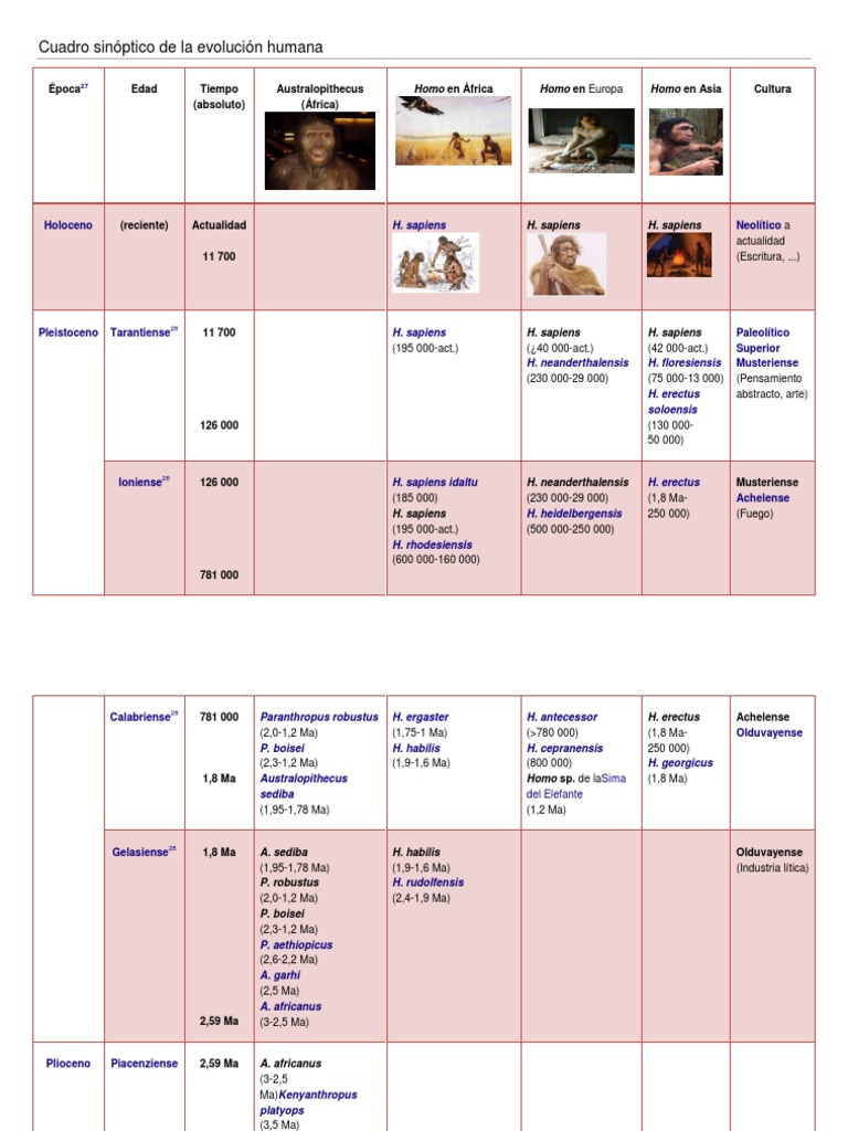 Cuadro sinóptico de la evolución humana