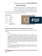 Tugas 1 Foraminifera