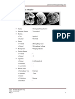 Tugas 2 Foraminifera Plankton