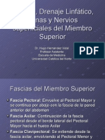 Fascias y Nervios Superficiales Del Miembro Superior