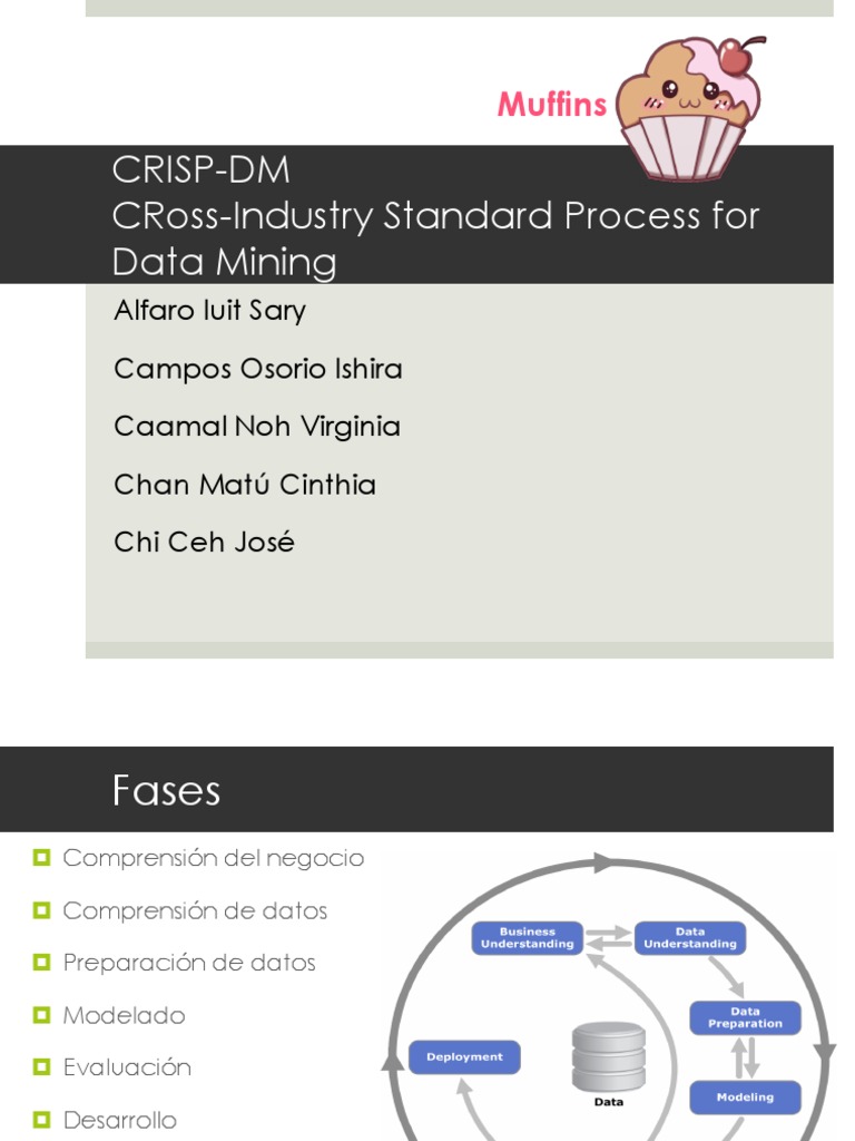 Crisp DM | PDF | Procesamiento de datos | Informática