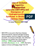 A Review of Inclusion Body Hepatitis-Hydropericardium Syndrome (