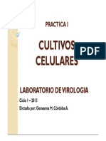 Cultivos Celulares 2013 01 PDF