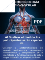 Clase 1 Anatomofisiología