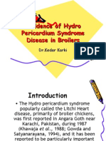 Incidence of Hydro Pericardium Syndrome Disease in Broilers