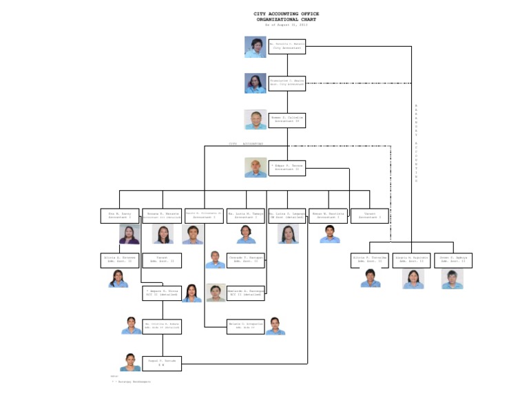 City Accounting Office Org Chart | PDF | Politics