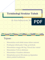Terminologi Struktur Tubuh