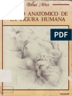 Anatomia Dibujo Anaomico Del Cuerpo