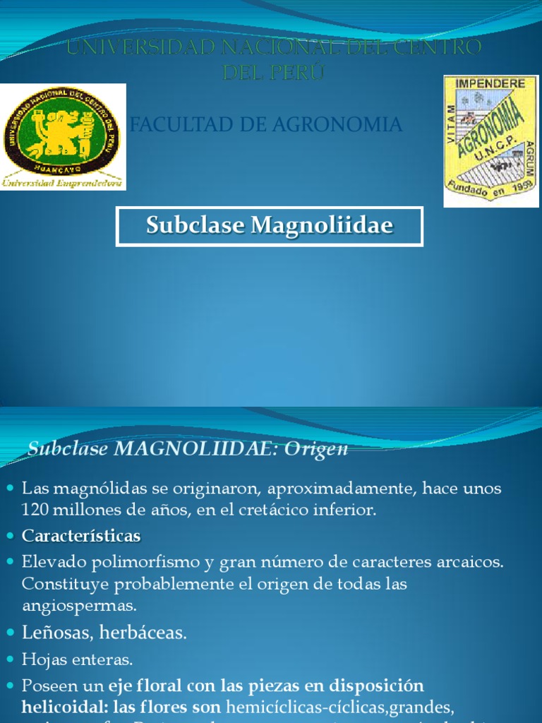 Características y Clasificación de Magnoliidae | PDF | Flores | Fruta