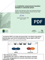 AP4 fator de transcrição envolvido na transição epitélio-mesequimal