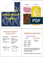 3 RegulacionProcariotas