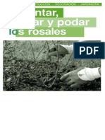 (Agro) Plantar, Cuidar Y Podar Rosales