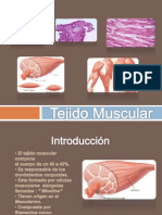 Tejido Muscular