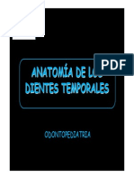 Anatomia Dental Temporal Ceu