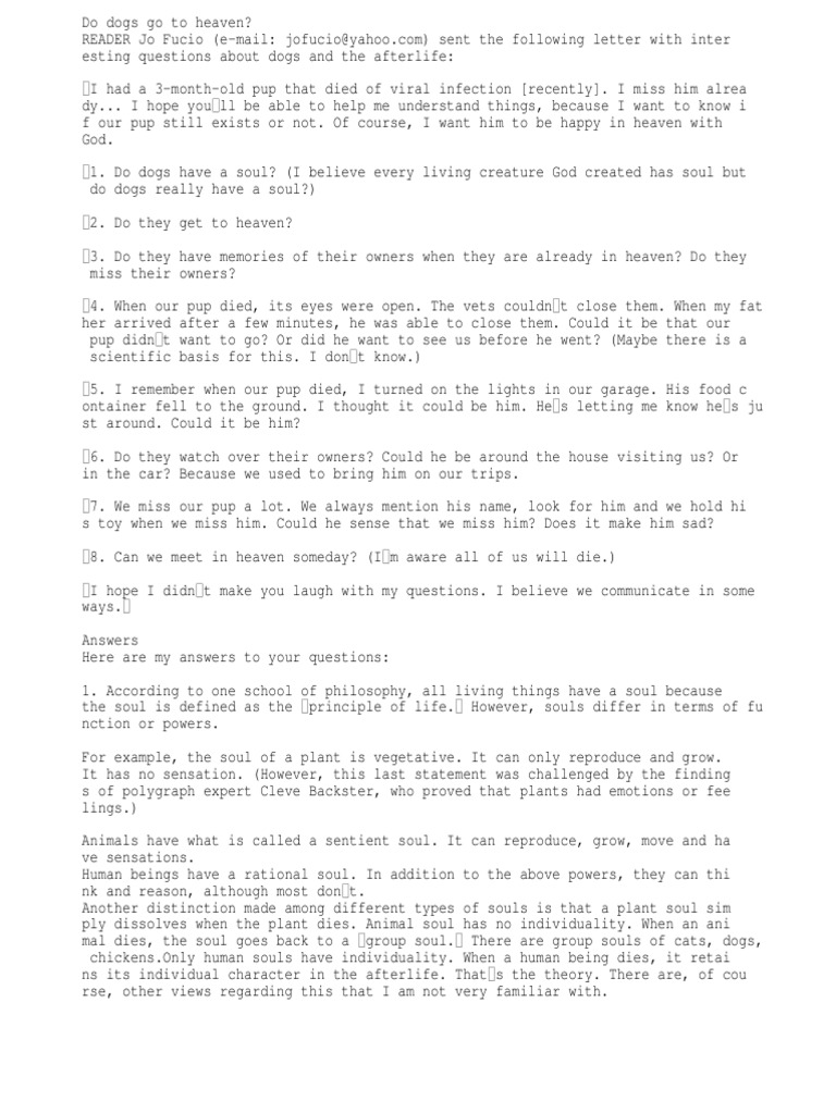 Do Dogs Go To Heaven PDF Heaven Afterlife
