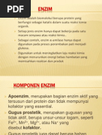 Download Mekanisme Kerja Enzimppt 1 by Thiba Annamalai SN174070421 doc pdf