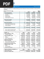 RisCo Raport Cash Flow