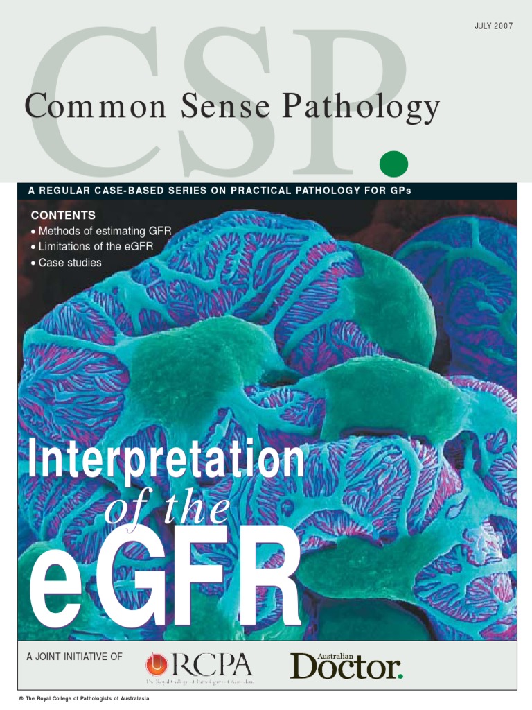 Interpretation of The eGFR Jul 07 | PDF | Renal Function | Chronic ...