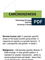 Carcinogenesis: Hematology-Oncology Division Child Health Dept. University of Sumatera Utara