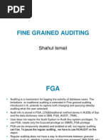 Fine Grained Auditing: Shahul Ismail