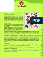 Peperoncino PDF