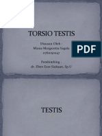 Referat Torsio Testis 