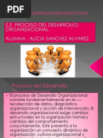 Proceso Del Desarrollo Organizacional