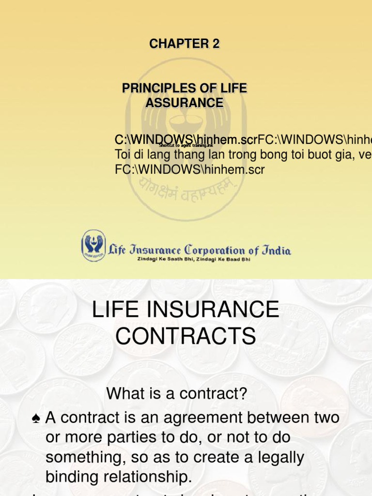 Principles Of Life Insurance Pdf Insurance Life Insurance