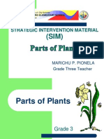 Plant Parts Marichu