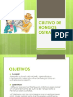 112407467 Cultivo de Hongos Ostra