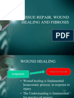 Tissue Repair, Wound Healing and Fibrosis