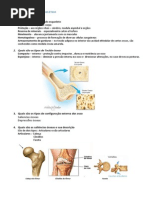 Estudo dirigido - Sistema Esquelético -