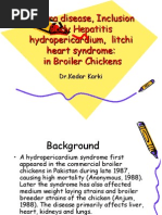Download ANGARA DISEASE Inclusion Body Hepatitis Hydropericarditis Litchi Heart Syndrome in Broiler Chicken by kedar karki SN17424719 doc pdf