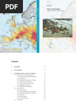 Download Flood Maps-An Excimap Work by CIO-CIO SN17425581 doc pdf